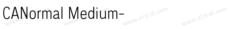 CANormal Medium字体转换